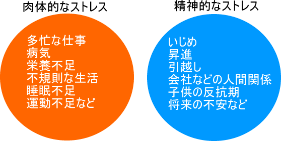 肉隊的なストレス　精神的なストレス